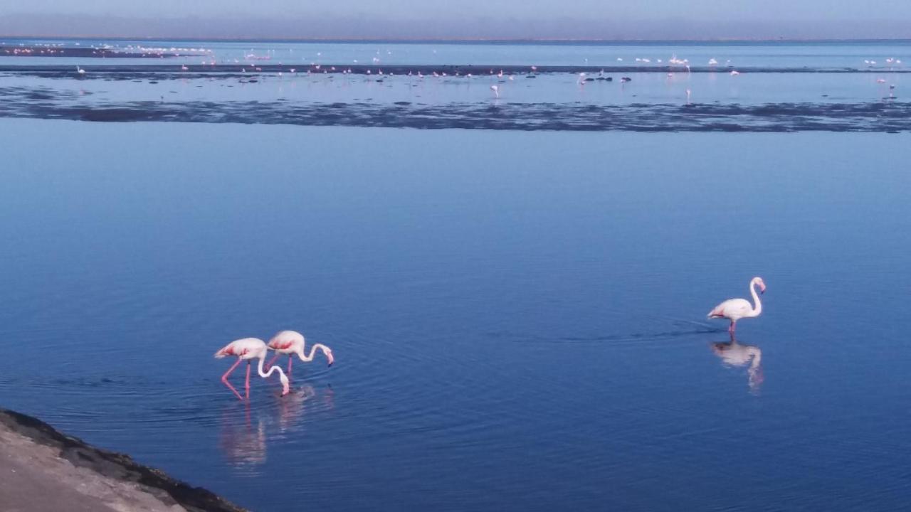 Haus Schaaf B&B Walvis Bay Dış mekan fotoğraf